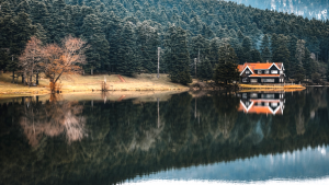 Boydan Boya Karadeniz Turu